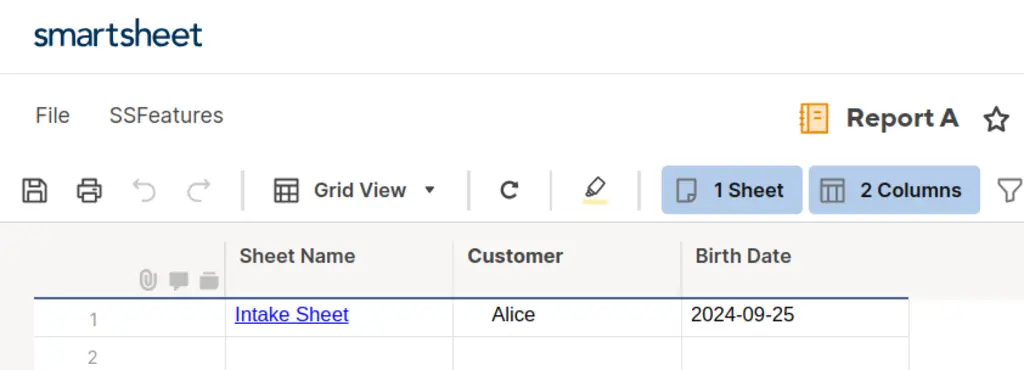 Report with the personal data from the intake sheet