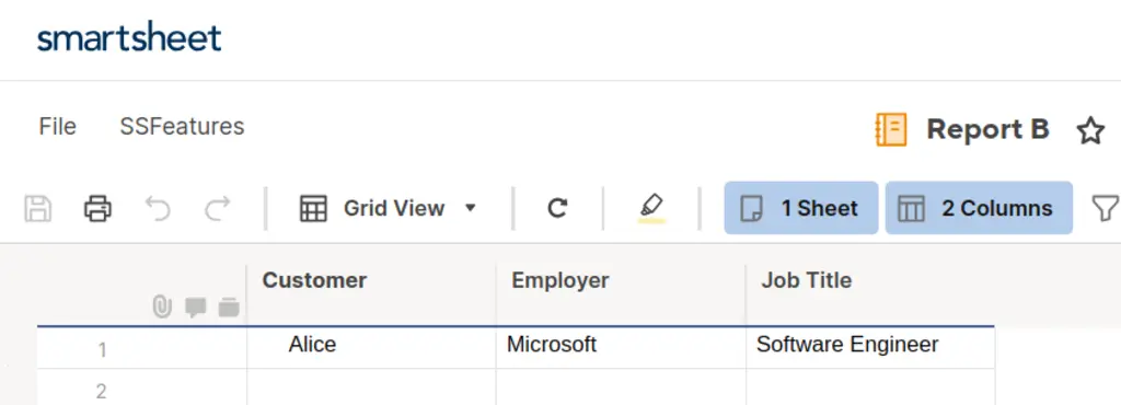 Report with the company data from the intake sheet